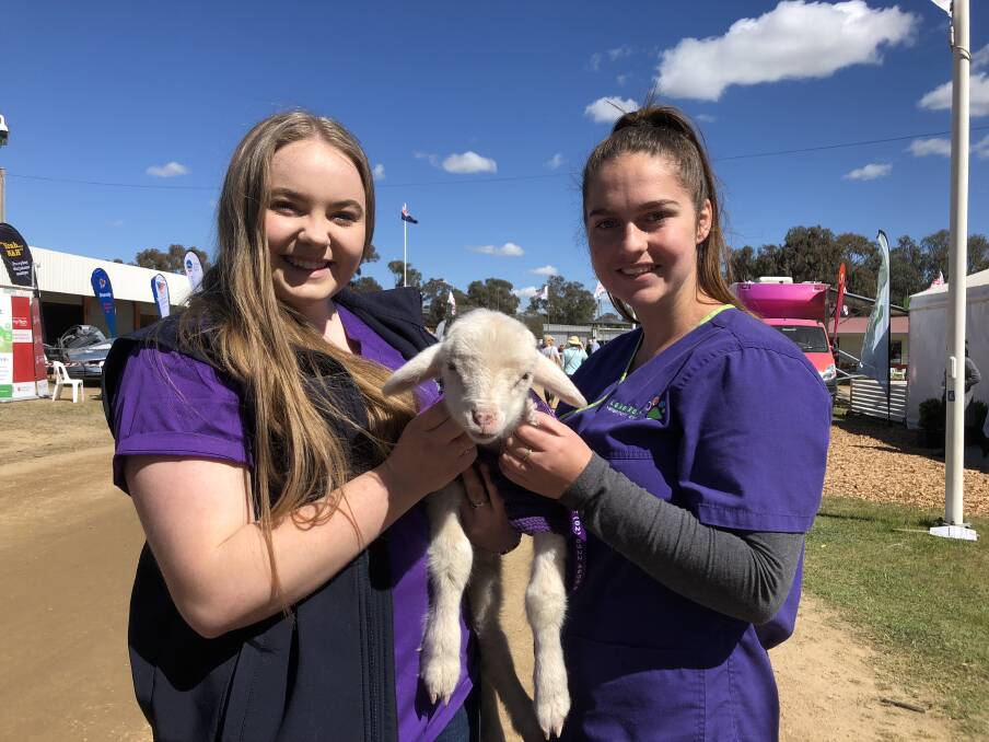 LAMB LIFE: Kyla Walmsley and Montana Taylor with Alice the lamb. Picture: Emma Horn