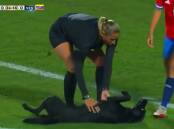 PAWS THE GAME: Chilean goalkeeper, Christine Elder, called a stop to play when the pup ran onto the field for a tummy rub. 