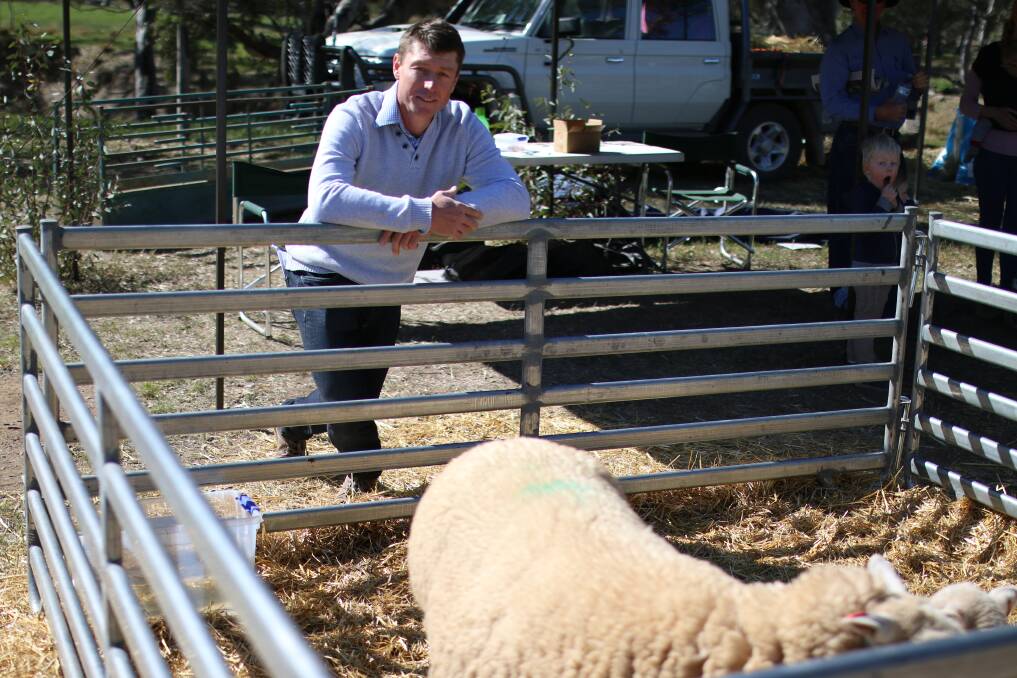 STOCK SALES: Tim Lubke with his maternal rams. Picture: Emma Horn.