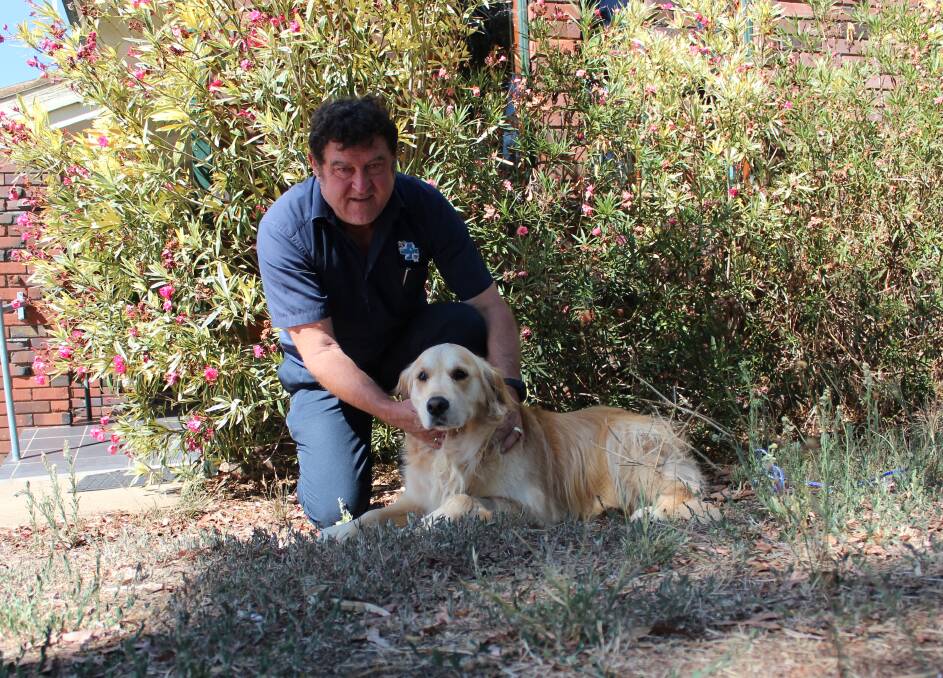 HOT DOG: Kooringal Veterinary Hospital owner and head vet Dr Mark Sayer with five-year-old golden retriever Baxter outside before the heat really picked up. Picture: Emma Horn