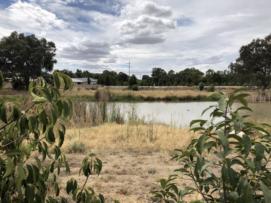 The water retention basin towards the western end of the Tatton block. Picture: Emma Horn