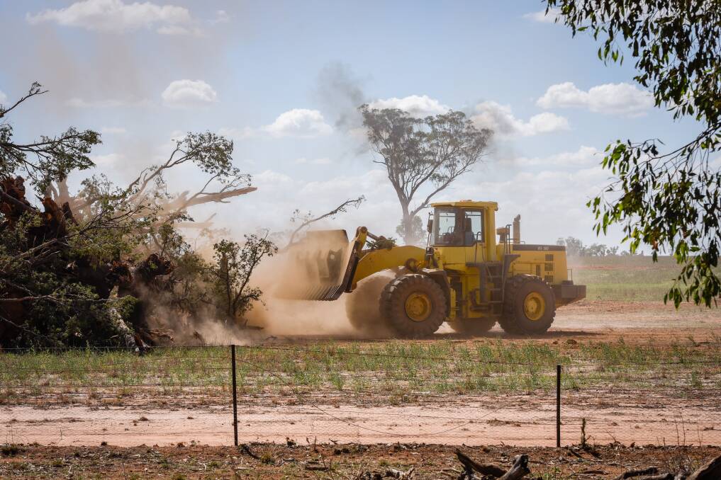 Bulldozers take to vegetation on the Englefields Plain farm in Bethungra. Picture: Caroline Hermes