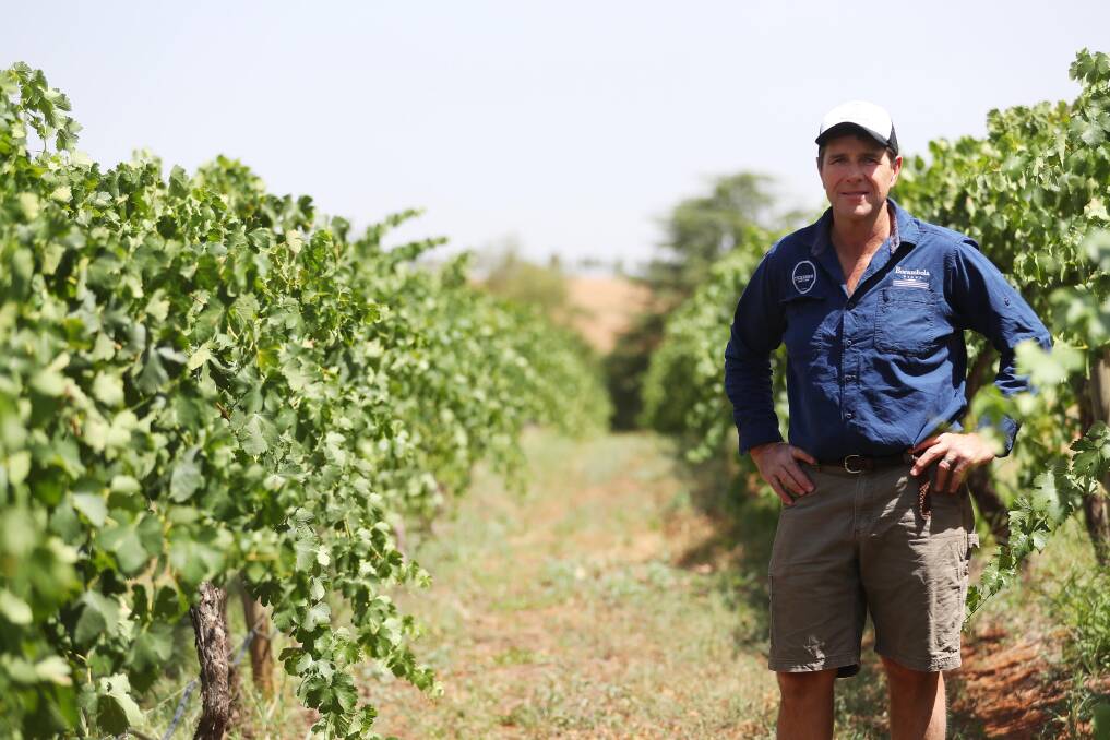 Tim McMullen surveys the vines at Borambola Wines. Picture: Emma Hillier