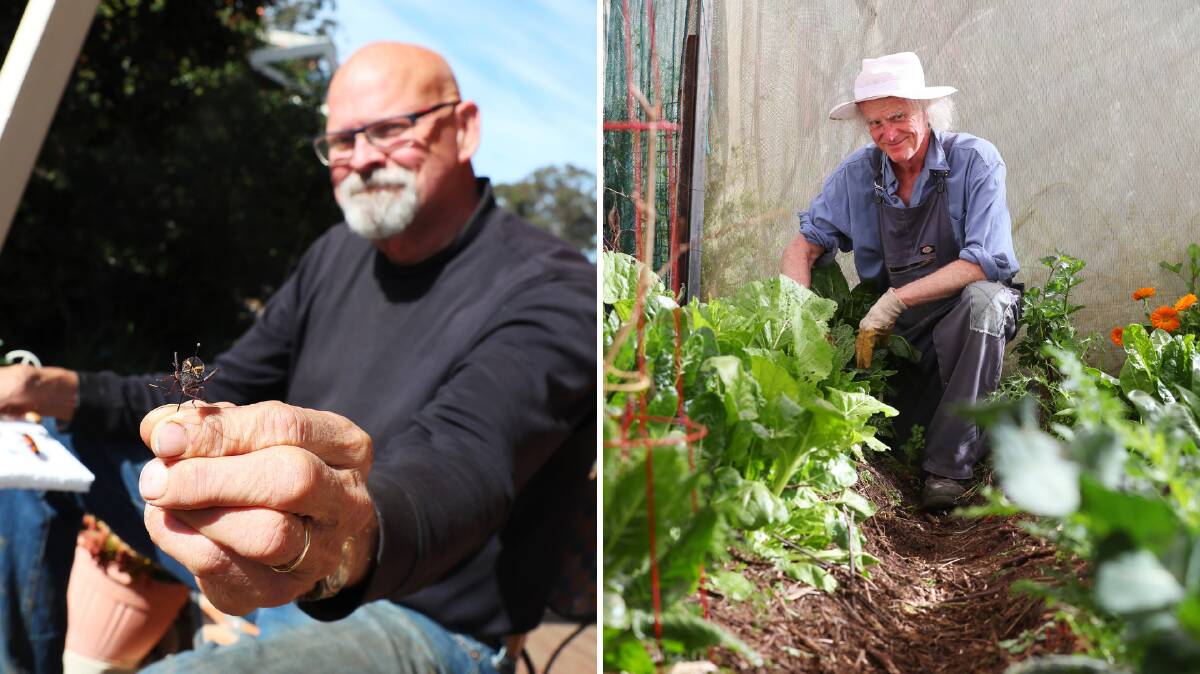 BUG PROBLEM: Dr Paul Weston and gardener Jim Rees have seen an increase in bug activity following the heavy rainfall.
