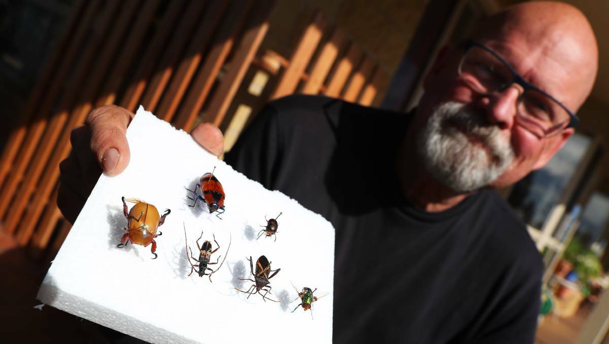 Insect expert Dr Paul Weston. Picture: FILE