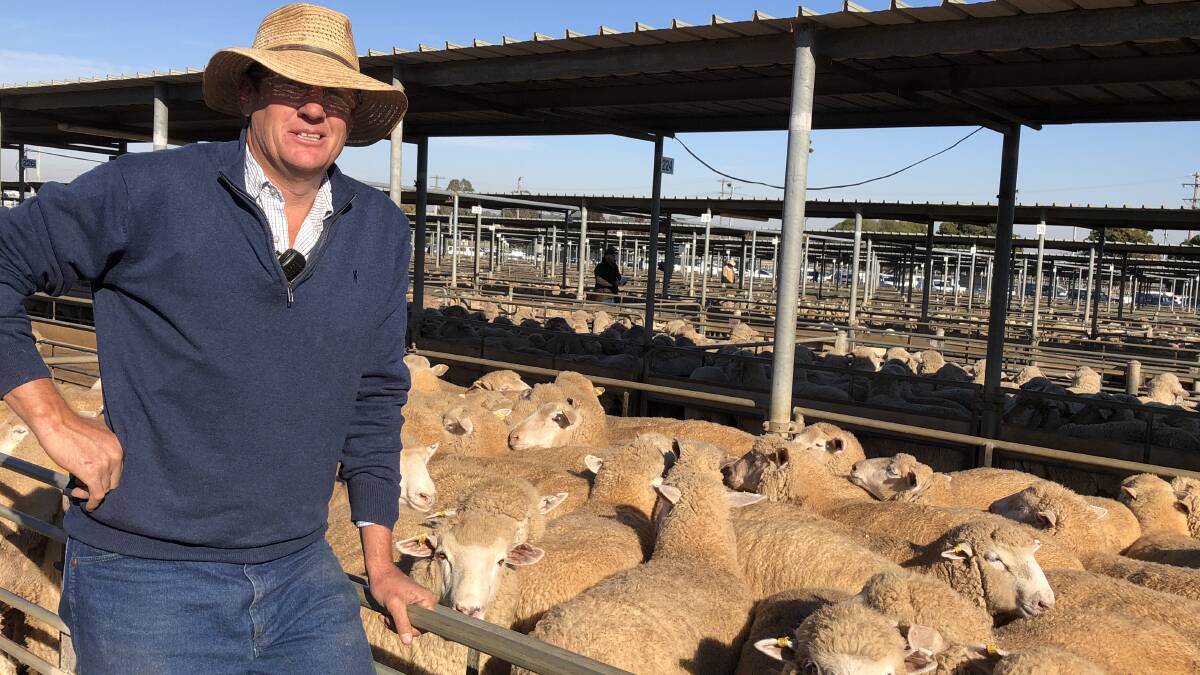 Isaac Hill sold a pen of 10-month-old lambs for a record-breaking price this morning. Picture: Nikki Reynolds