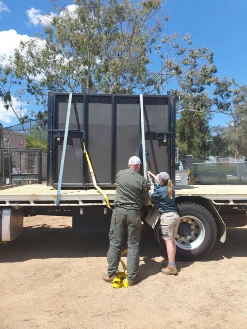 Zoo staff take delivery of the emus last week. Picture: Kieralee Tori