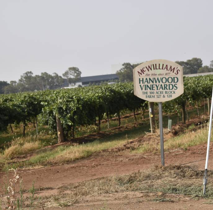 FUTURE FEARS: Riverina winemaker McWilliam's has been placed into voluntary administration. The family first planted crops in Corowa in 1877. Picture: Kenji Sato