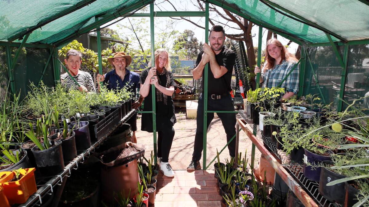 GREENHOUSE GROWTH: Erin Earth team Kath Wallace, Eltan Mestan, Kaz Leary, Ben Holt and Clare Reeves with the bumper crop of seedlings for sale. Picture: Les Smith