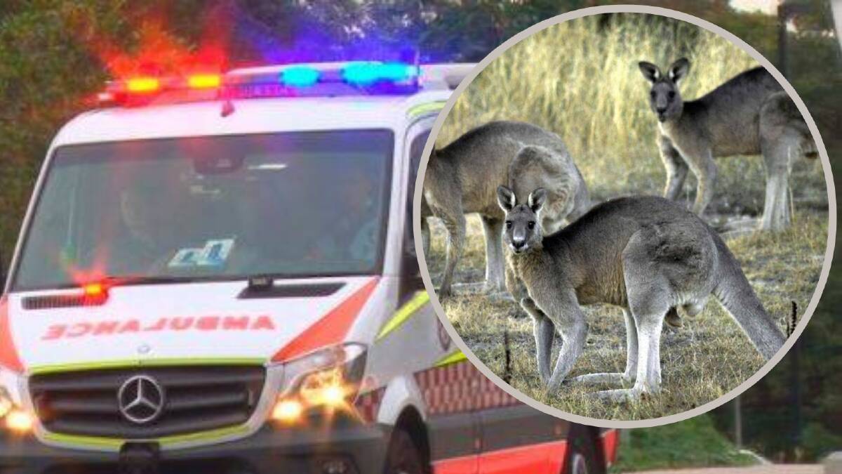 ACCIDENT: A man has suffered injuries after his motorbike collided with a kangaroo near Carathool. Picture: FILE