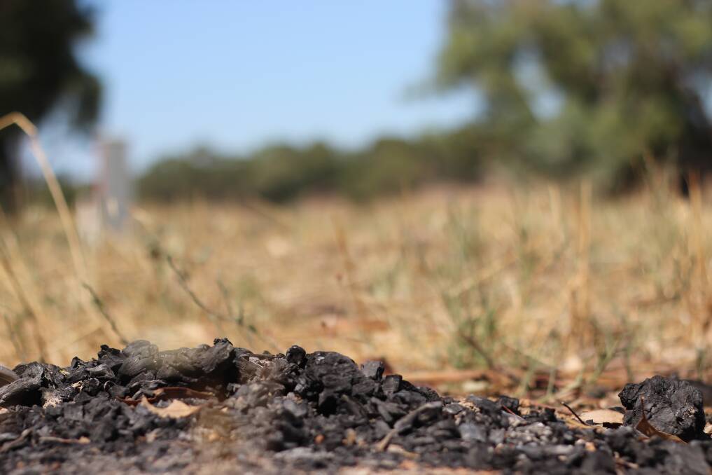 Charred remains in bushlands off McNickle Road. Picture: Emma Horn
