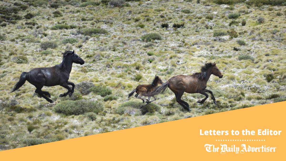 There are humane ways to deal with brumbies, today's correspondent says.