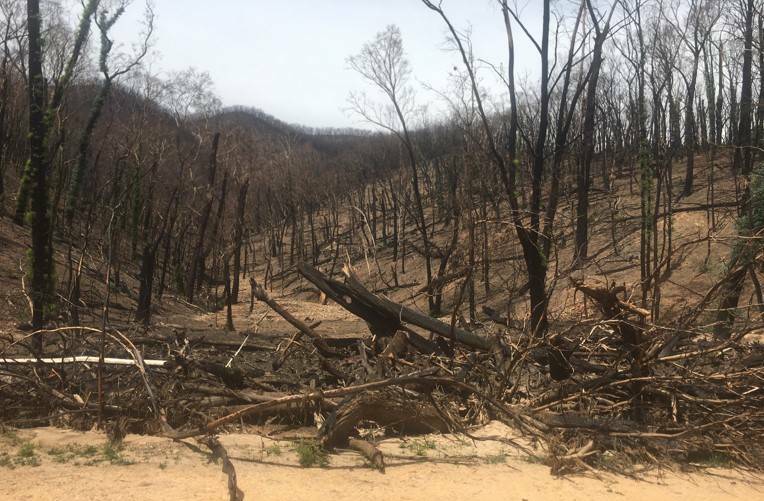 Yellowin Road after the 2019/2020 fires. Picture: Forestry Corporation of NSW