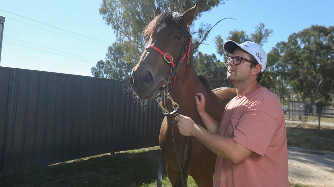CUP HOPE: Trainer Mitch Beer is hoping to add his name to the Albury Gold Cup honour roll with Perfect Illusion. Picture: TARA TREWHELLA