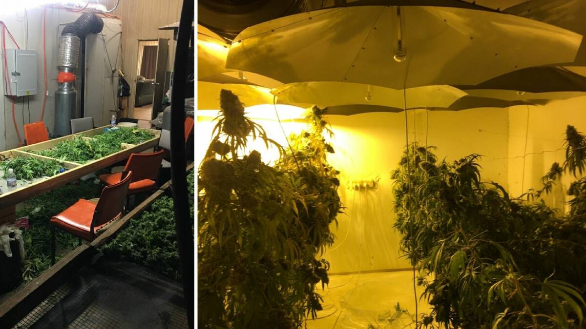 A sophisticated hydroponic cannabis set-up was uncovered by police at Yoogali this week. Pictures: Murrumbidgee Police District