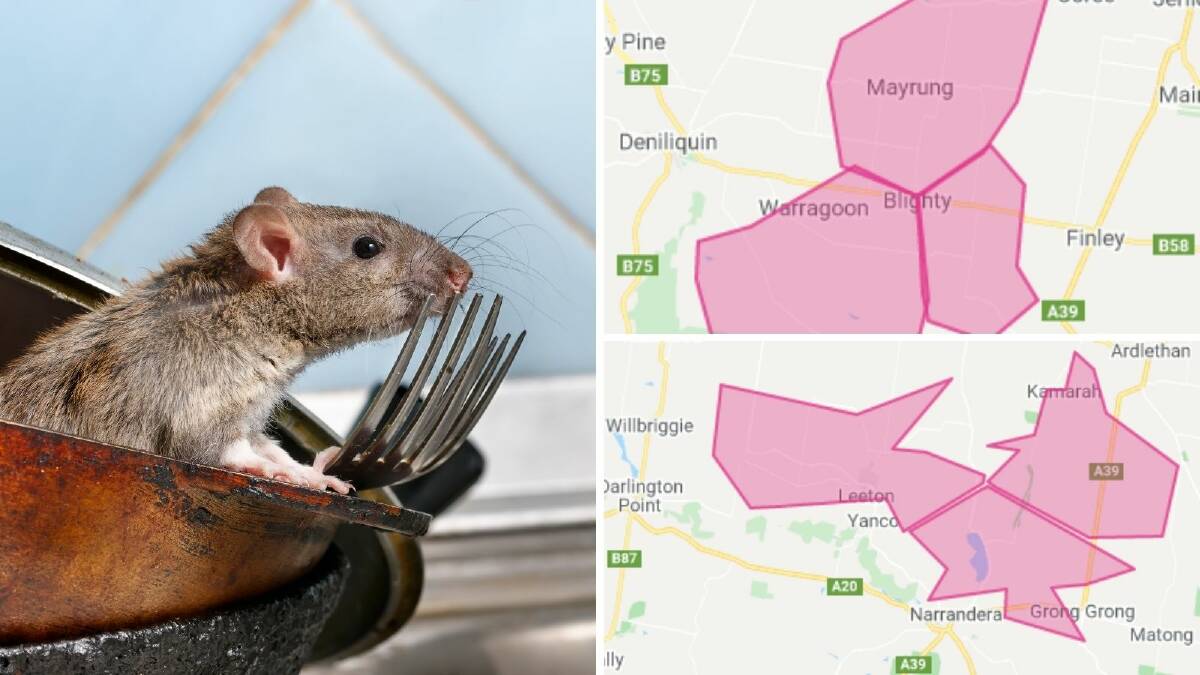 Mice partly to blame for mass Telstra mobile outage