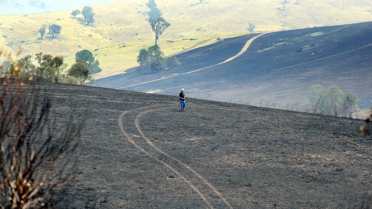 Land burnt by the Dunns Road bushfire near Adelong on Friday. Picture: Les Smith
