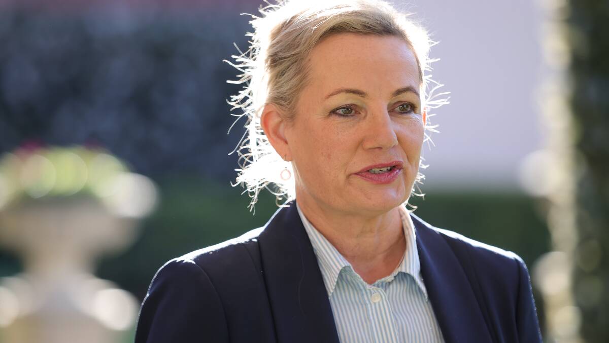 Member for Farrer Sussan Ley says she doubts the prime minister "can be trusted" with another referendum. Picture by James Wiltshire