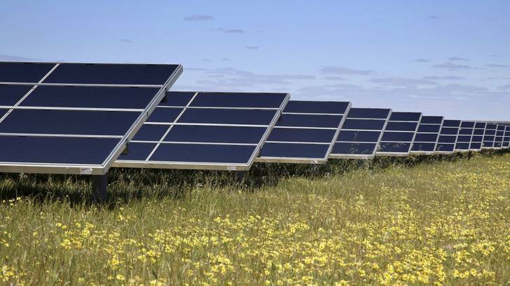 SMART ENERGY: Renewable energy company Green Switch Australia is preparing a proposal for a 122,000 panel solar farm for Gregadoo that could power 15,000 households a year.
