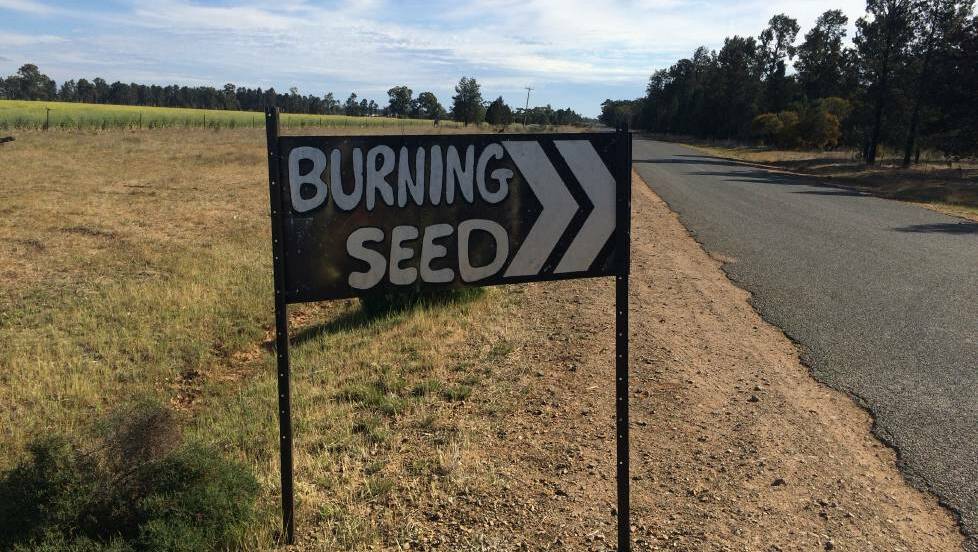Police presence expected to increase during Burning Seed festival