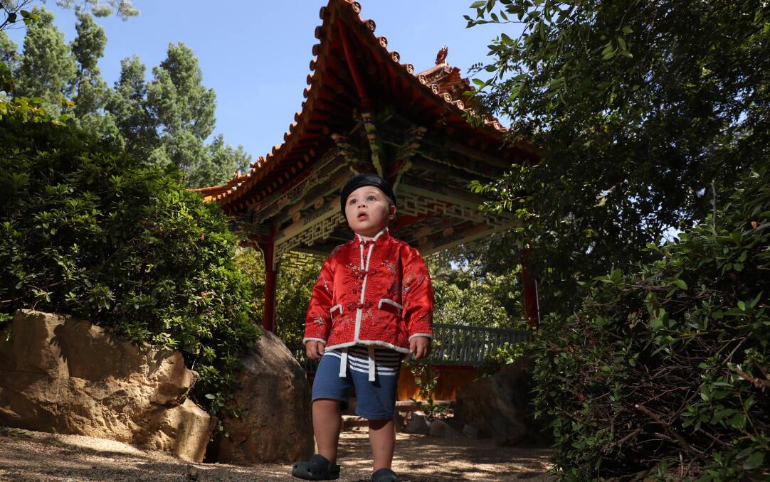 A TOUCH OF RED: Albert Schumach, 2, learns about his Chinese heritage with the help of his grandmother ahead of Friday's Chinese New Year celebrations. Picture: Les Smith