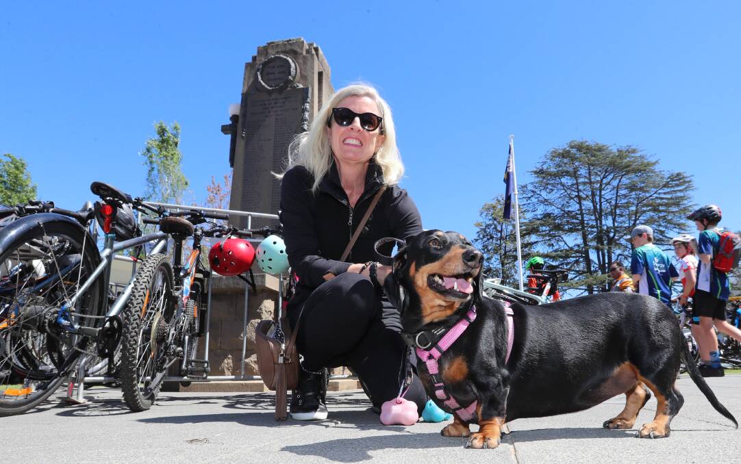 Deb Harrod from Mosman with her dachshund Dottie soaking up the sun at the 2018 Gears and Beers Festival. Picture: Les Smith