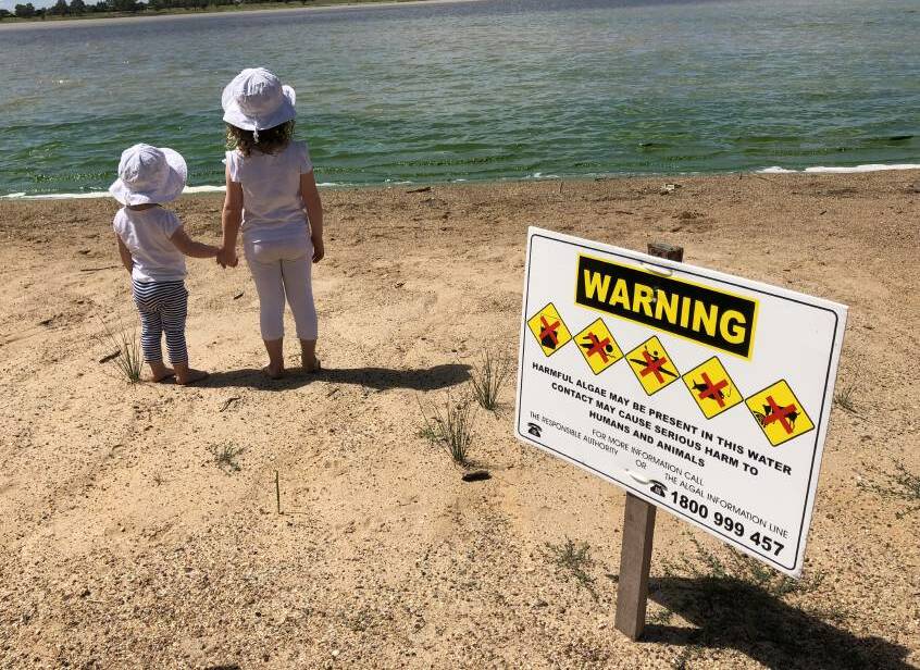 Council issues warning after faecal bacteria found in Lake Albert