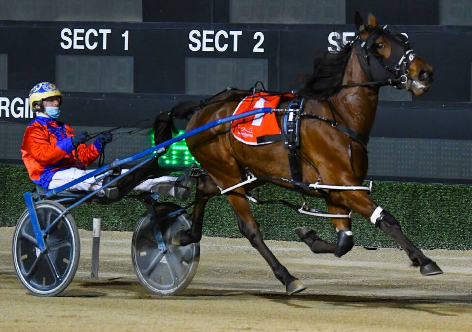 UNBEATEN: Former Junee reinsman drives My Ultimate Byron to victory in the NSW Breeders Challenge semi-final. Picture: Racing at Club Menangle