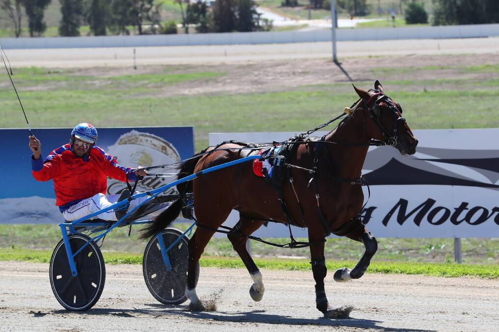 JUST LOVING IT: Wagga trainer-driver Brett Hogan finishes a salute after his big win with Roll Out during the 10-race card at Riverina Paceway on Friday. Picture: Emma Hillier