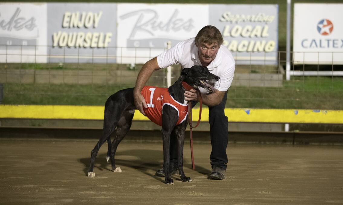 READY TO ROCK: After winning the Million Dollar Chase Regional Final at Wagga My Boy Rockin' has drawn box five in Friday's semi-finals for trainer Brian Smith.