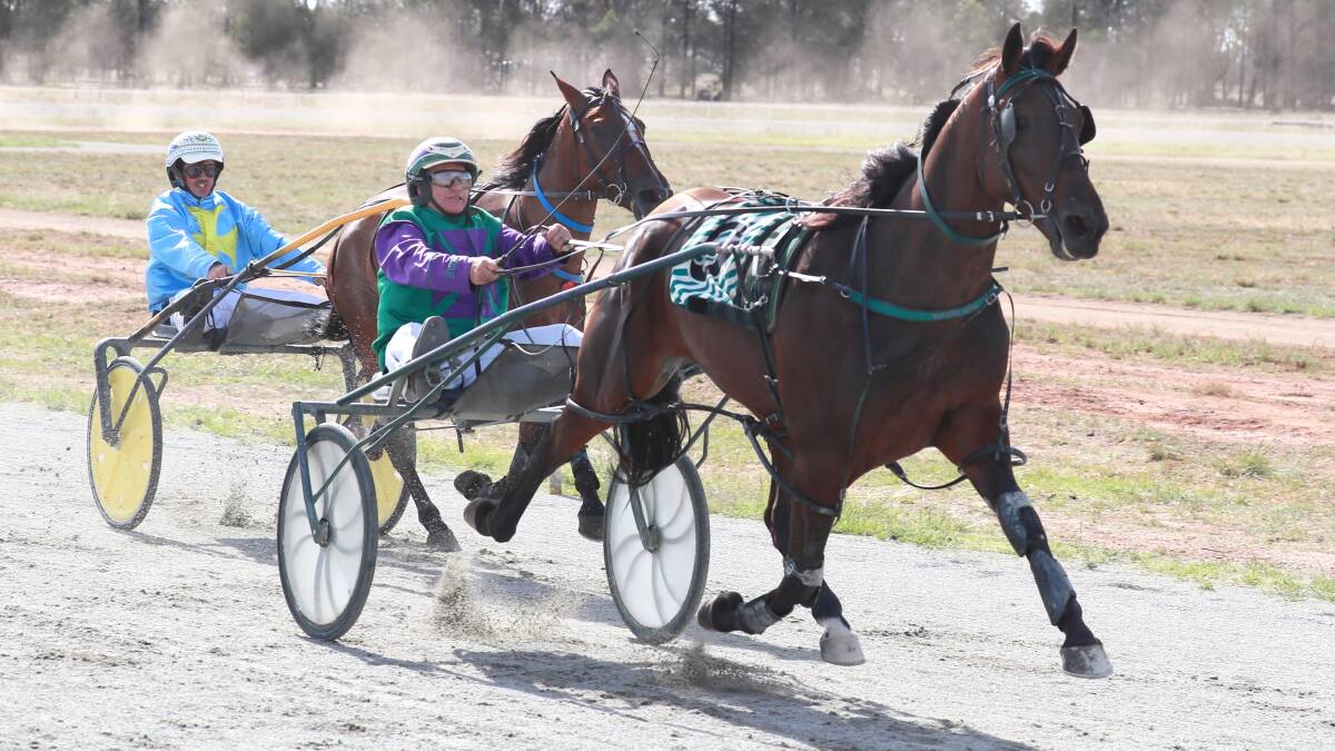 CUP AIM: Stephen Maguire and Major Roll are looking to add to his Coolamon Pacers Cup success, as pictured, in the Wagga Pacers Cup at Riverina Paceway on Sunday. Picture: Les Smith