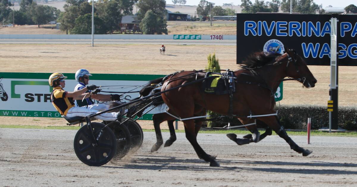 Not To Be Denied just edges past stablemate Eye Keep Smiling to give Young owner Jackie Gibson the quinella in the Riverina Championships Mares Final on Sunday. Picture by Tom Dennis