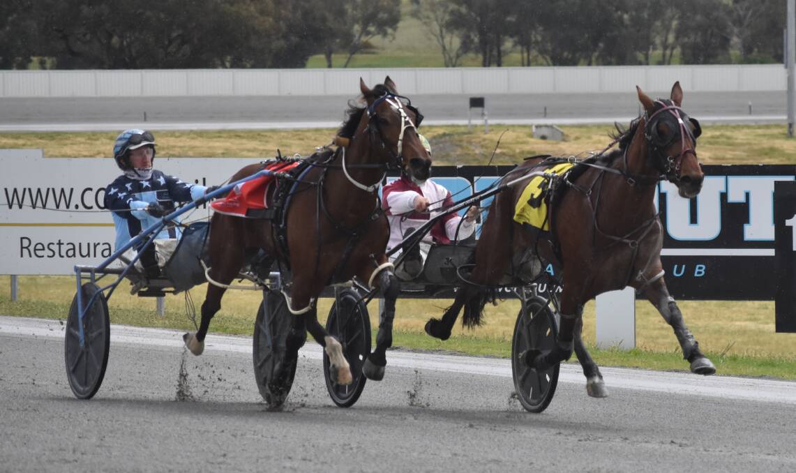 STEPPING UP: A Perfect Dance and Headturner will both compete in the NSW Breeders Challenge semi-finals at Menangle on Saturday. Picture: Courtney Rees