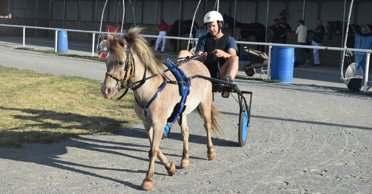 NEW CHALLENGE: Collingullie-Glenfield Park coach Luke Gestier gets a feel for mini trotting ahead of the football premiers challenge on Friday night. Picture: Courtney Rees
