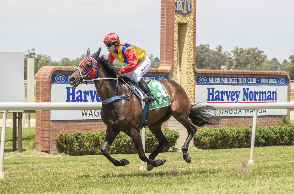 IN CLEAR AIR: Zakeriz races away from his rivals to take out the Ted Ryder Prelude for Wagga trainer Chris Hardy at Murrumbidgee Turf Club on Monday. Picture: Ash Smith
