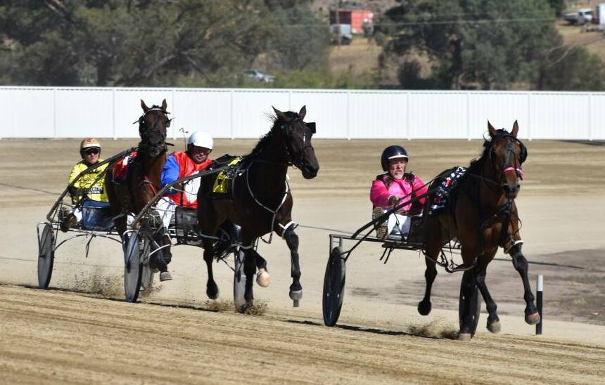 STARTING OFF: Roylance, pictured leading in a trial last week, is out to win the first race at Wagga's new harness racing track on Monday.