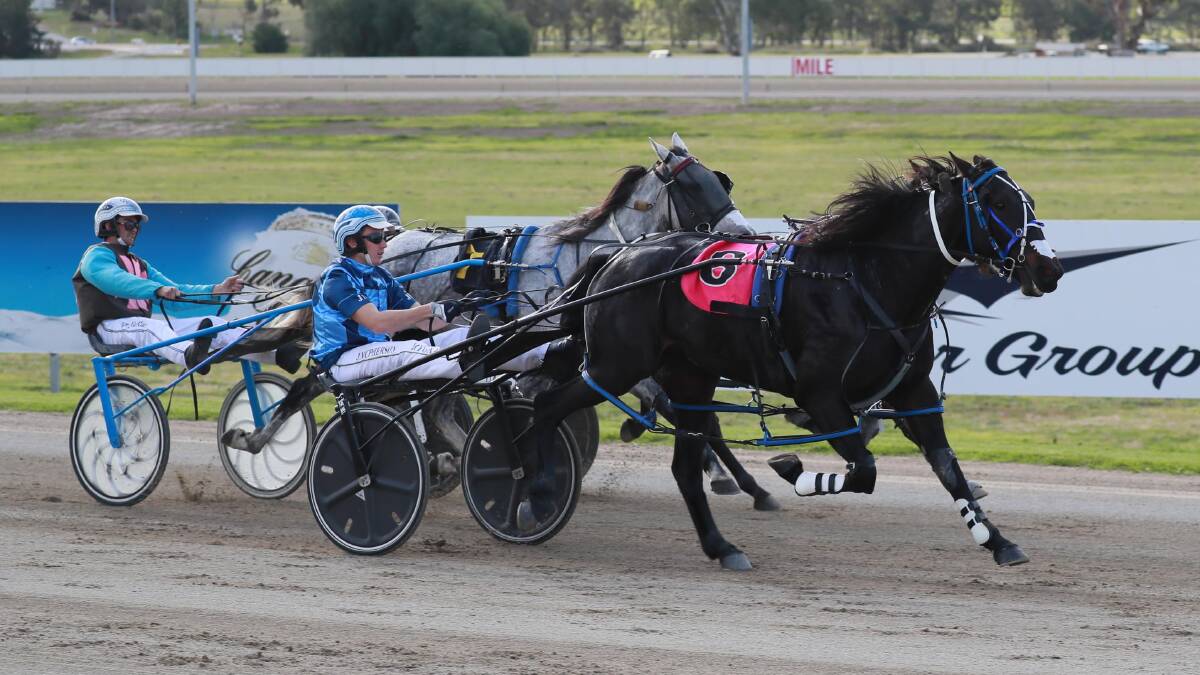 Rocky Creed powers home late to take out the third Regional Championships heat at Riverina Paceway on Friday.
