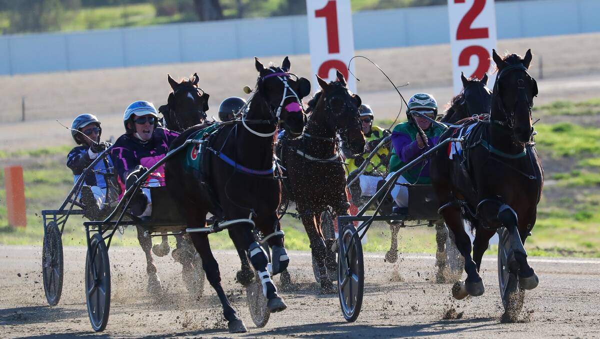 Wagga Pacers Cup winner Rusty Crackers will race at Menangle on Saturday.
