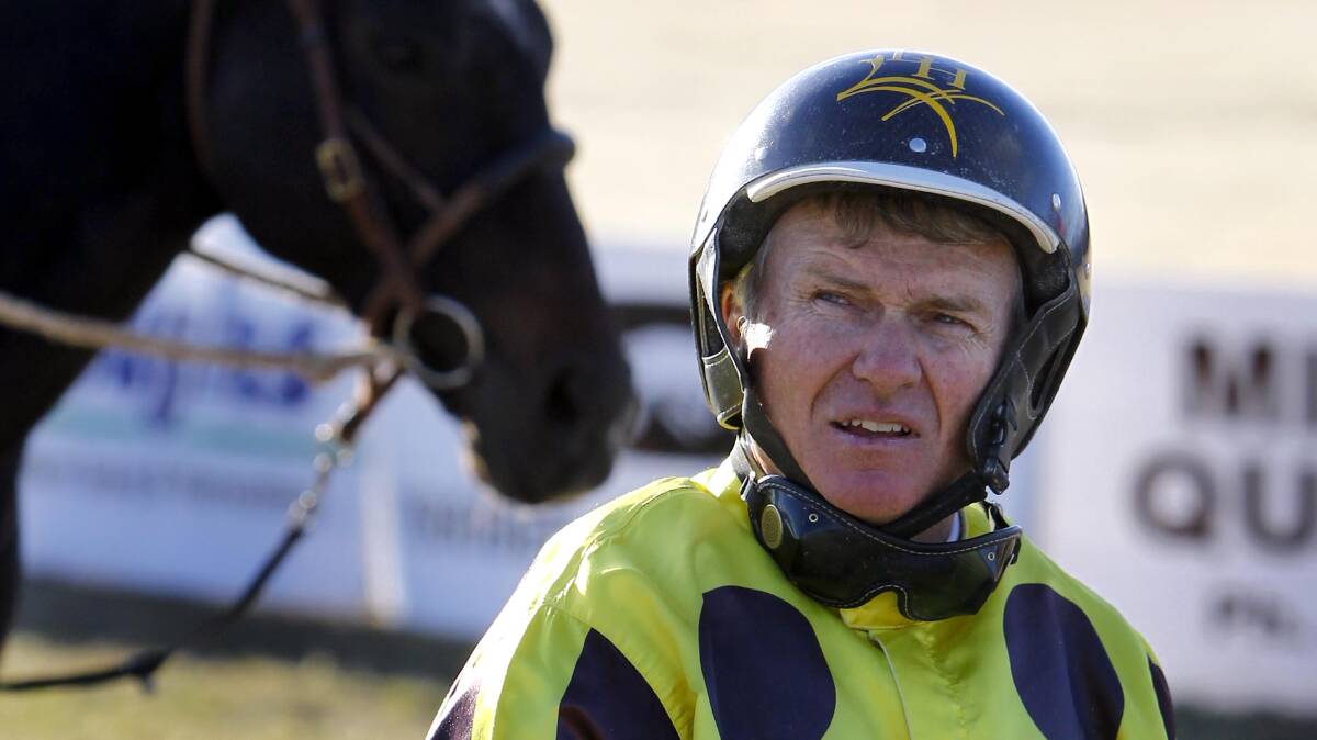 GOOD CHANCE: Junee horseman Bruce Harpley has four rides at Riverina Paceway on Friday including aboard Jacquelyn Anne is the opening event for two-year-olds.