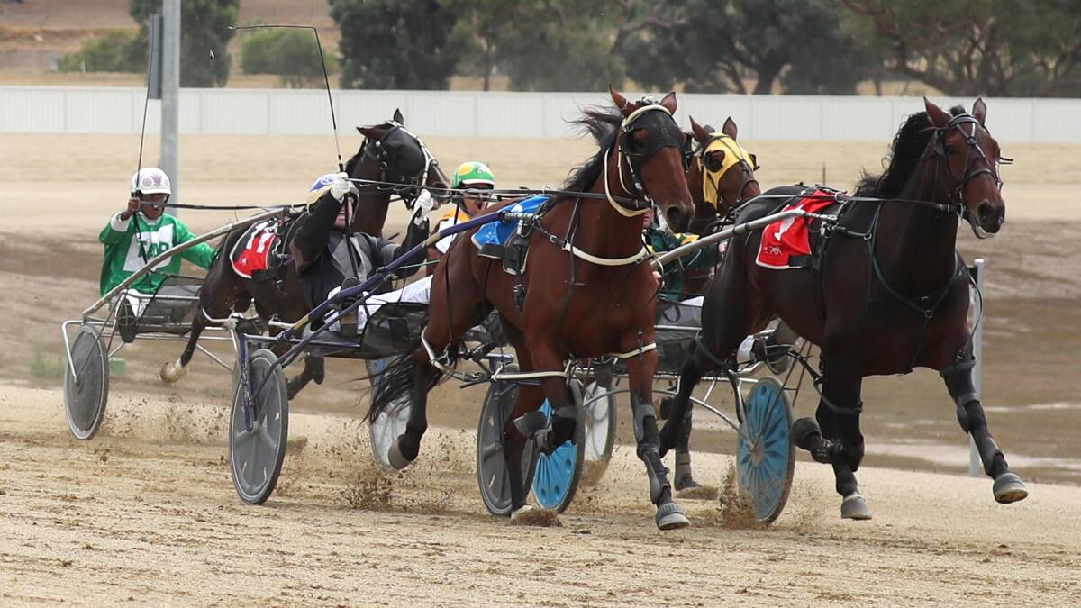 Seattle Trace, pictired winning at Wagga last year, is the third of the Kahlefeldt team in the Regional Championships heats on Friday.
