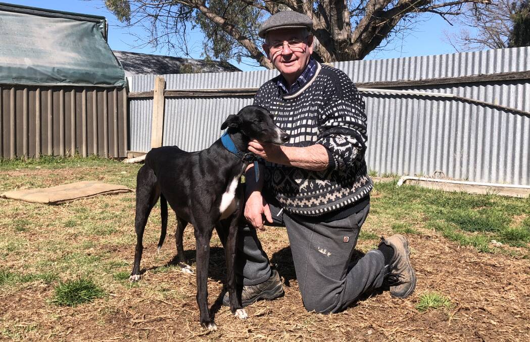 READY TO ROLL: Wagga trainer Brian Honey is looking for Lace Monster to back up her heat win in the Million Dollar Chase regional final at Wagga on Friday. Picture: Courtney Rees