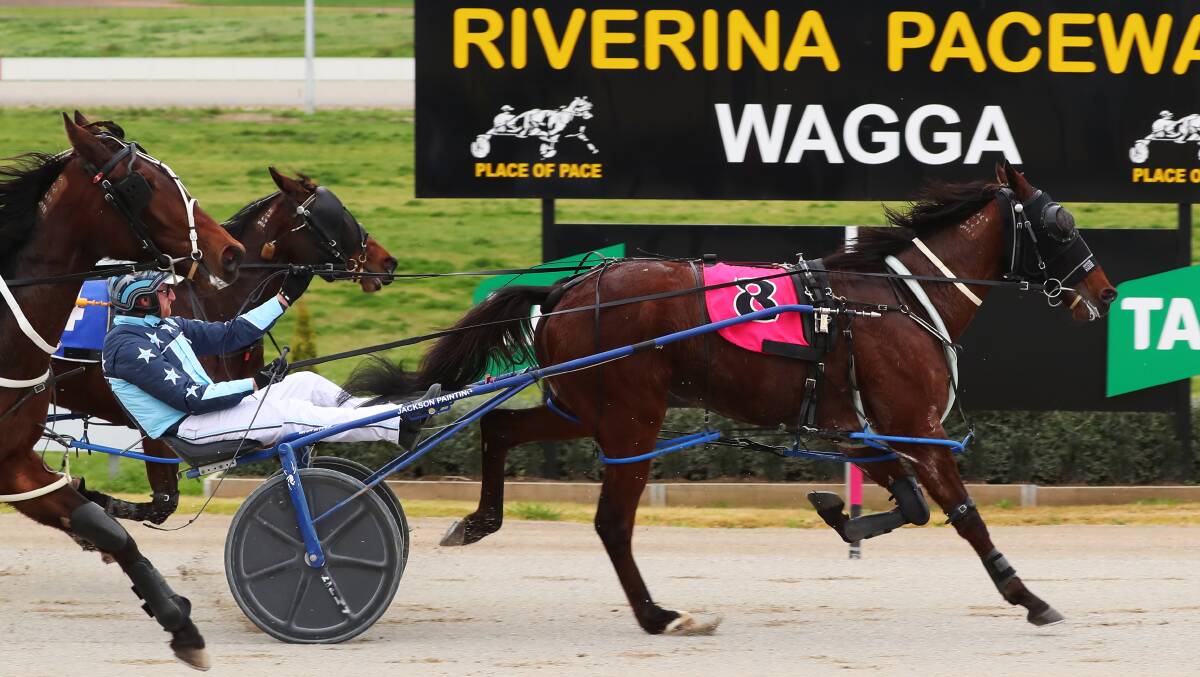 TOUGH EFFORT: Teninthebin holds his rivals at bay to win his first race in just his second start Riverina Paceway on Friday. Picture: Emma Hillier