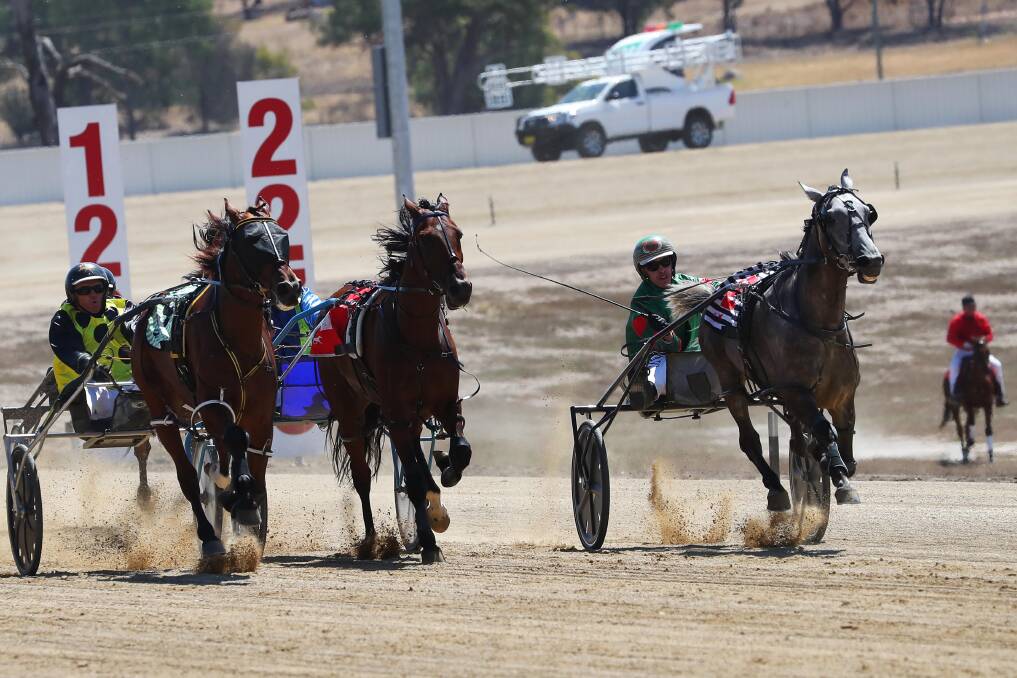 SHORTEST WAY HOME: Brobenah Boy and Will Rixon took advantage of the sprint lane at Wagga's new track to win on Monday. He was also the jackpot horse for the meeting. Picture: Emma Hillier