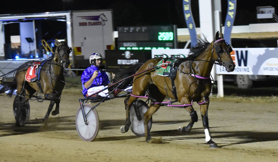 FABULOUS FOUR: Adam Richardson drives Old Luke to victory in the Temora Pacers Cup on Saturday night. It was his fourht win on the program. Picture: Courtney Rees