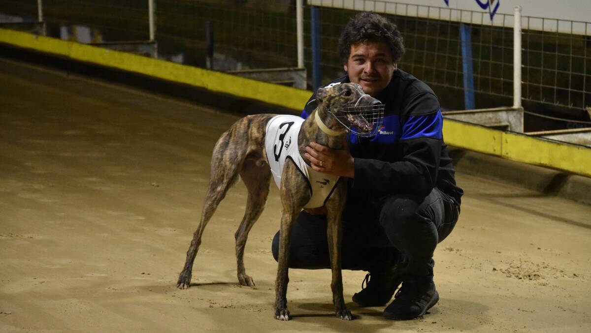 GOOD SHOT: Victoria trainer Correy Grenfell with Xavien Bale, one of the kennel's four chances in the Graeme Hull Memorial Cup on Friday. 