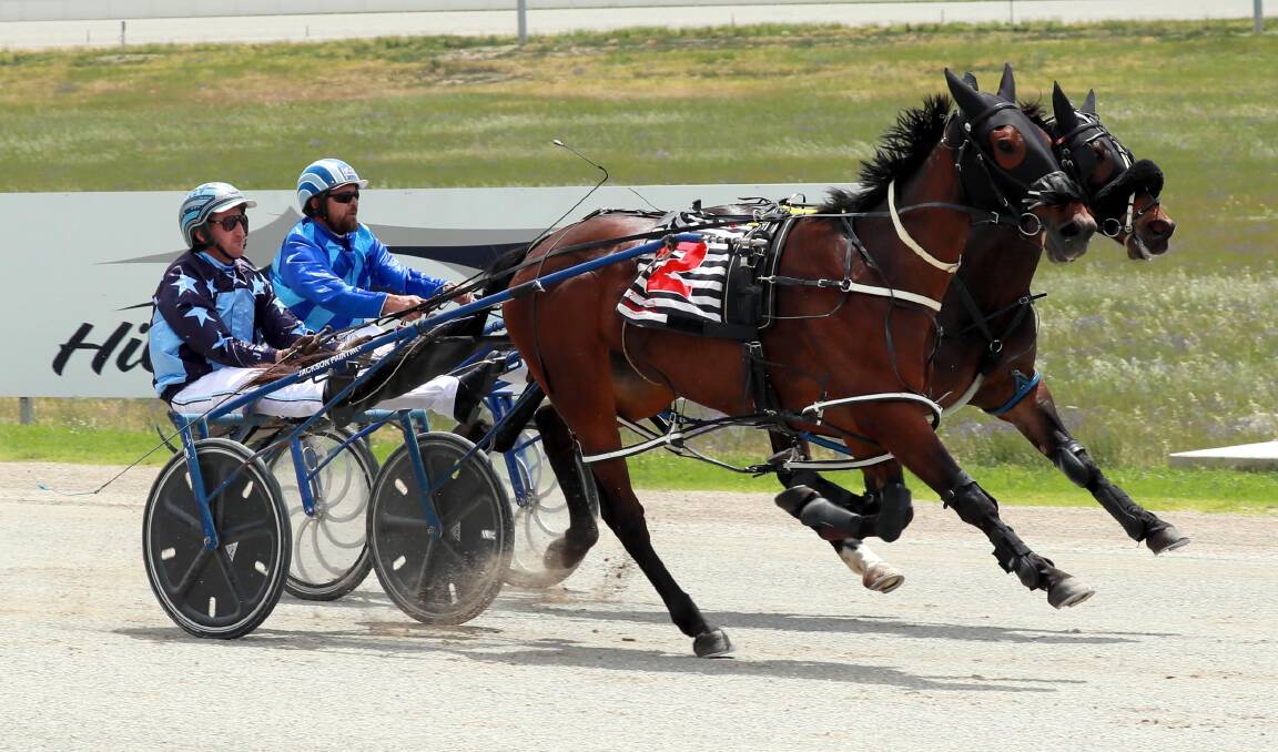 STRONG START: Killara Missile runs past Hy Voltage to get her career off to the perfect start and provide Euroley combination David Kennedy and Jackson Painting the first of three winners at Riverina Paceway on Friday. Picture: Les Smith
