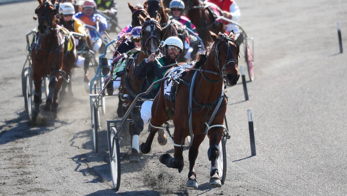 AWAY HE GOES: Veteran pacer Out Buller Boy brought up his 19th win at his 191st start at Wagga on Friday. It was part of a double for Peter McRae. Picture: Emma Hillier