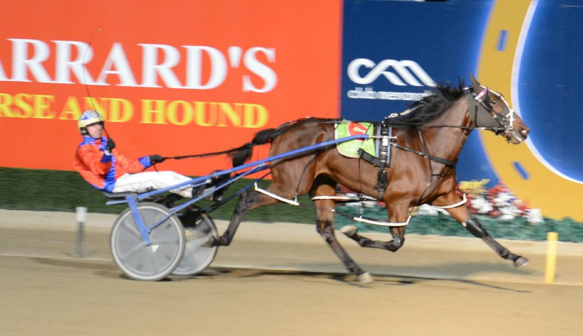 Cameron Hart salutes as My Ultimate Byron wins his group one on Saturday.