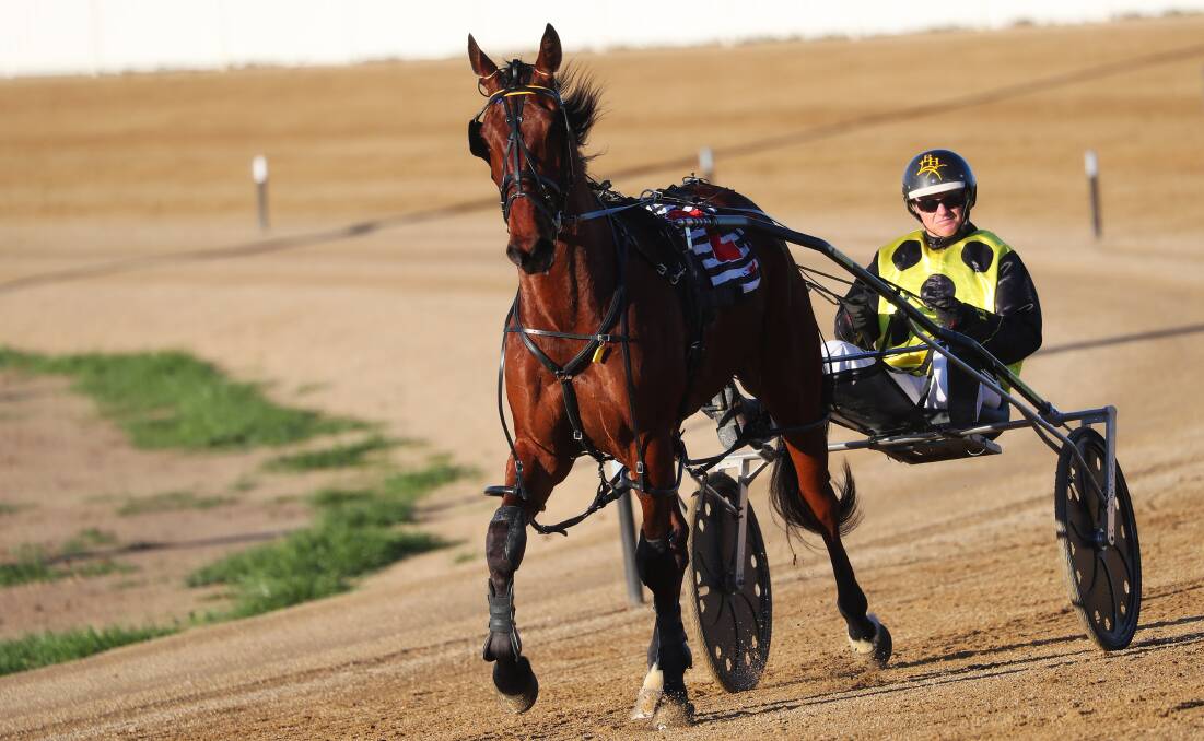 VERY HAPPY RETURN: Junee trainer-driver Bruce Harpley brings back Harps after his victory on Friday.
