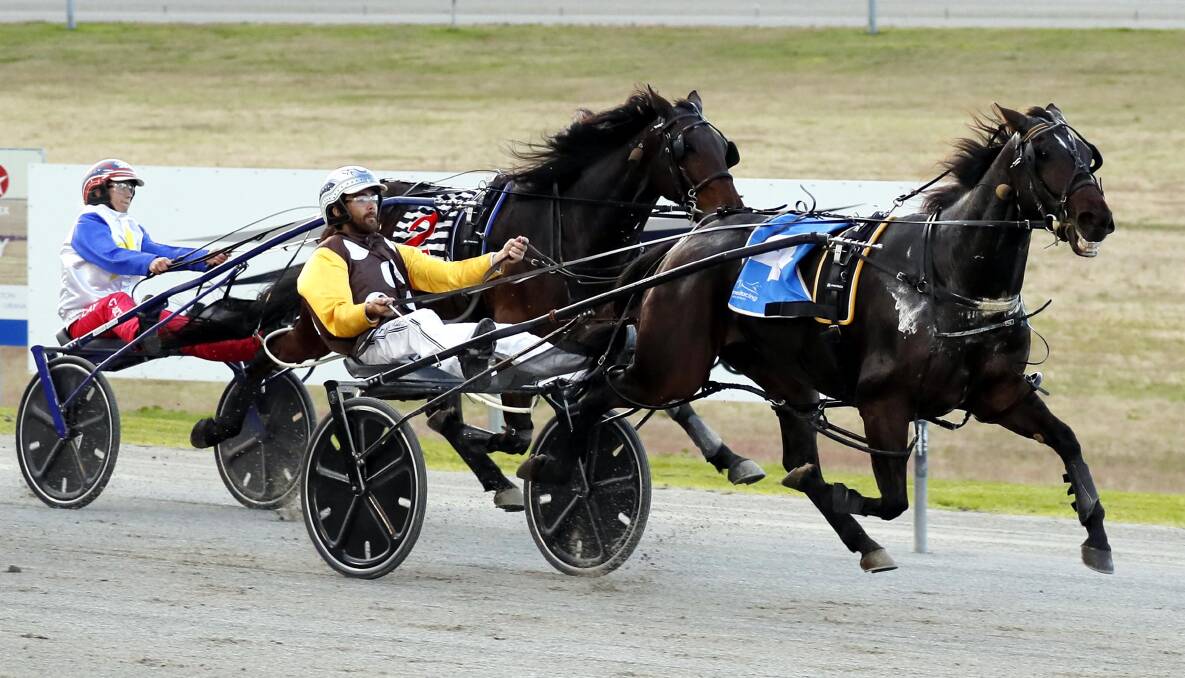 QUALIFIED: Western Style races away from his rivals to book his place in the Regional Championships final at Riverina Paceway on Friday. Picture: Les Smith